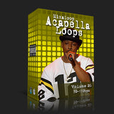 Acapella Loop Pack 26 (70-110bpm)